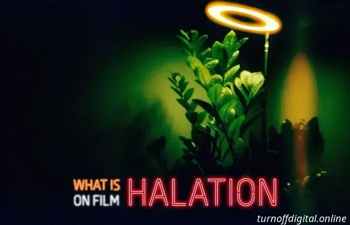  Halación en la fotografía en película, explicada