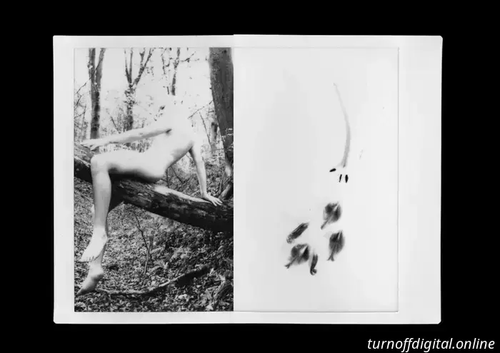 Drachenreiten: Sofortbildserie