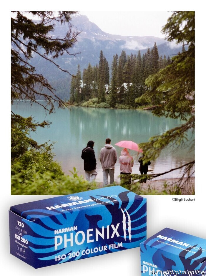 Harman aggiorna il Phoenix 200 (II) con una granulometria più fine, una migliore precisione dei colori e una gamma dinamica più ampia.