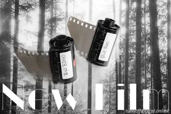 New Hand-Rolled Film: Cinema Shorts BW 200 & BW 3200