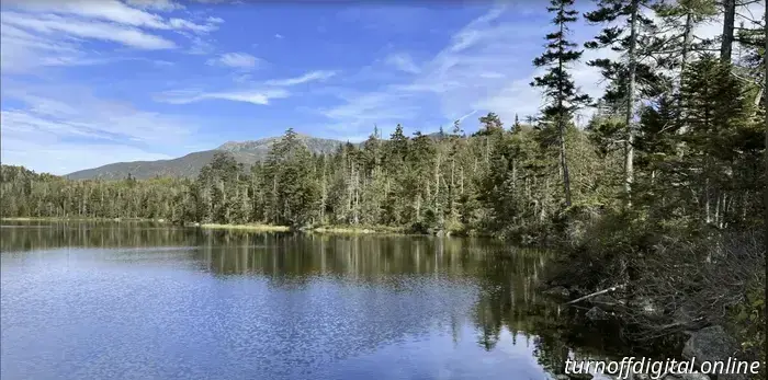 Versand aus Vermont - Cal Newport