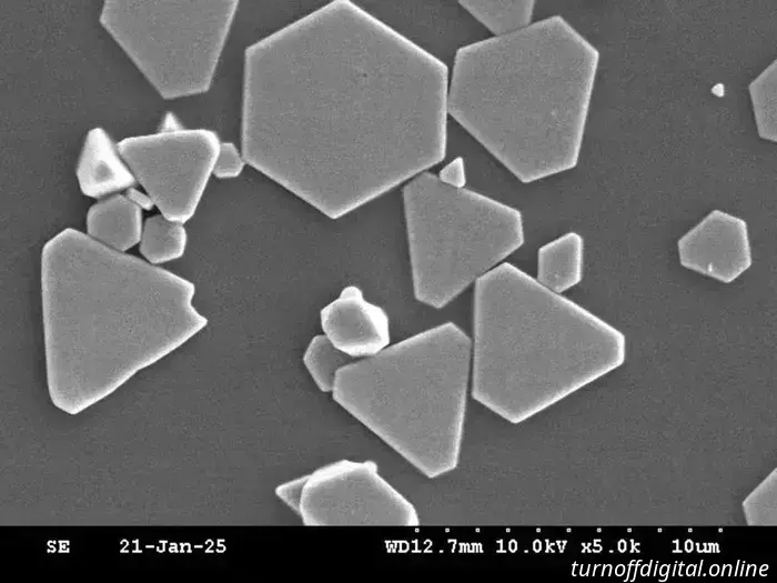 Light Lens Lab ha annunciato un'altra nuova emulsione per pellicola, giusto in tempo per il nuovo anno lunare.